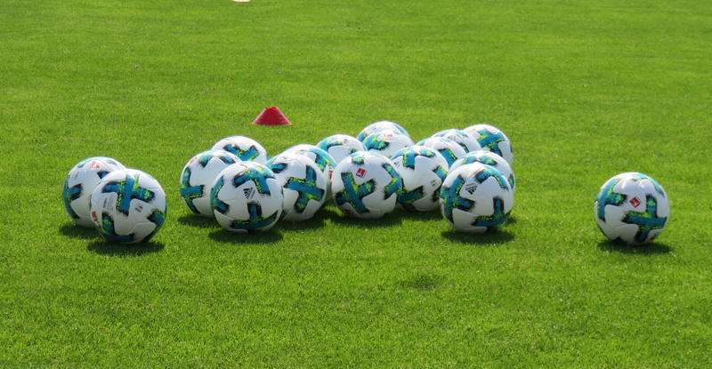 plant, ball, day, field, soccer, in a row, training, no people, creativity, team sport, sports equipment, nature, park - man made space, white color, outdoors