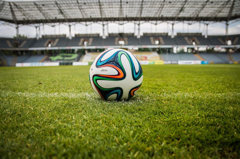 plant, white, day, soccer ball, green color, no people, sport, surface level, field, green, selective focus, game, the ball, competition, soccer, nature