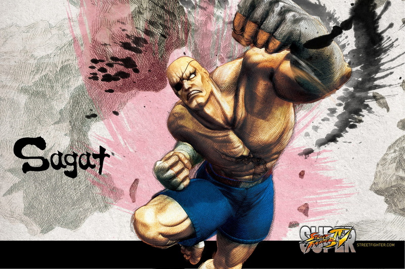 hd, games, Street Fighter IV, fighter, video, 1080P, sagat, art, iv, street