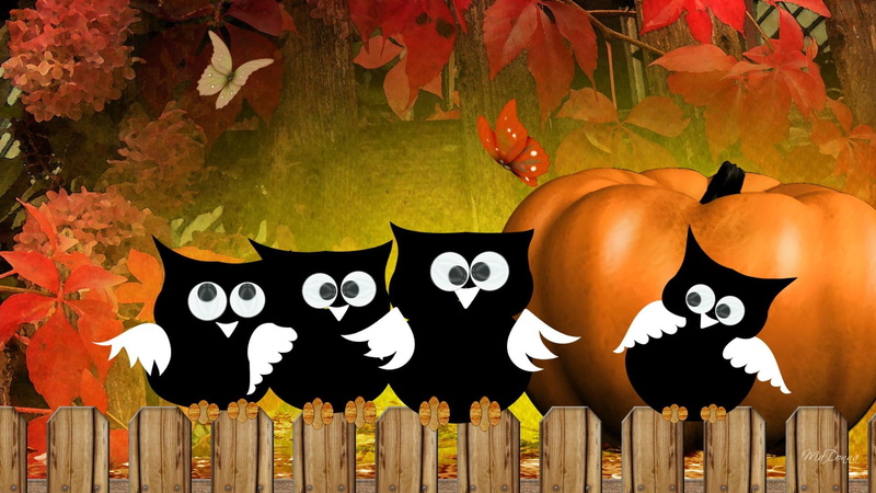 print, leaves, whimsical, autumn, butterflie, fall, owls, butterfly, hootie, 1080P, pumpkin, halloween, firefox persona
