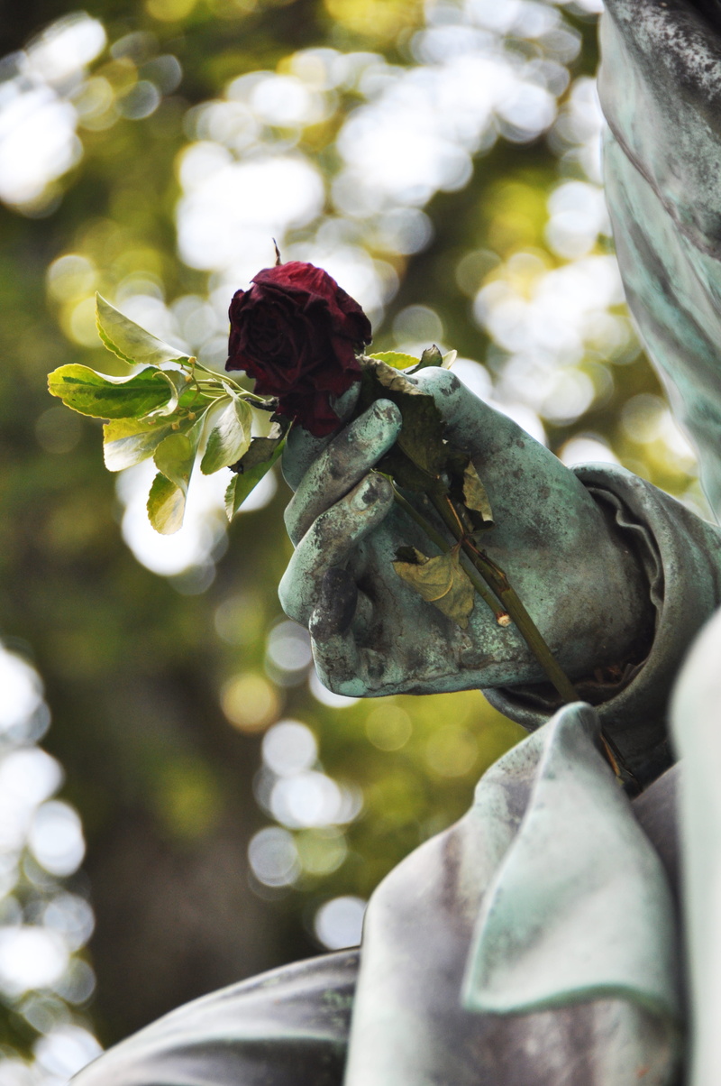 petal, rose, statue, hand, france, nature, 4K, animal wildlife, rose - flower, green, flowering plant, paris, flower, plants, cimetry of père lachaise