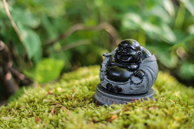 believe, garden, stone figure, focus on foreground, Buddha, inner calm, figurine, chinese, meditation, nature, black, sculpture, deity, outdoors, animals in the wild