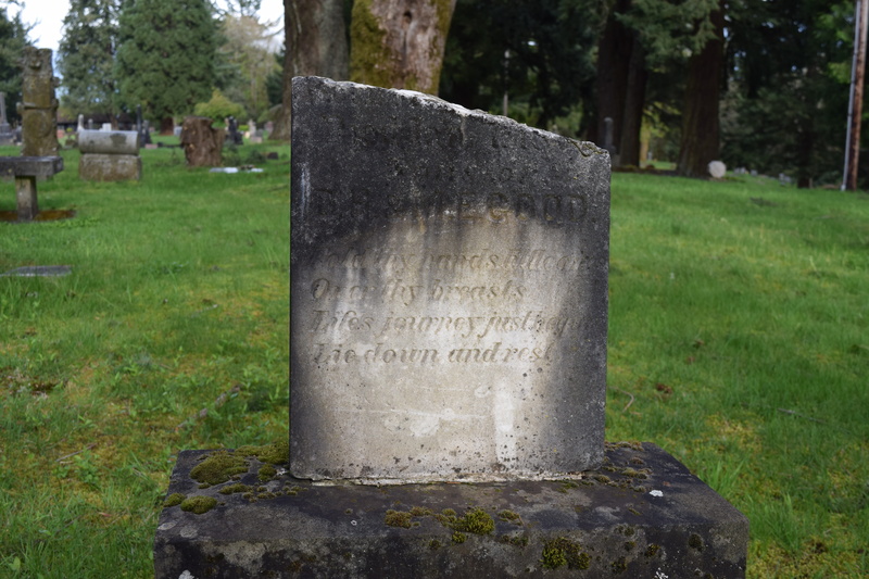 tree, religion, memorial, the past, plant, 5K, marble, broken, text, architecture, day, nostalgia, history, stone, cemetery, gothic, grass, green color