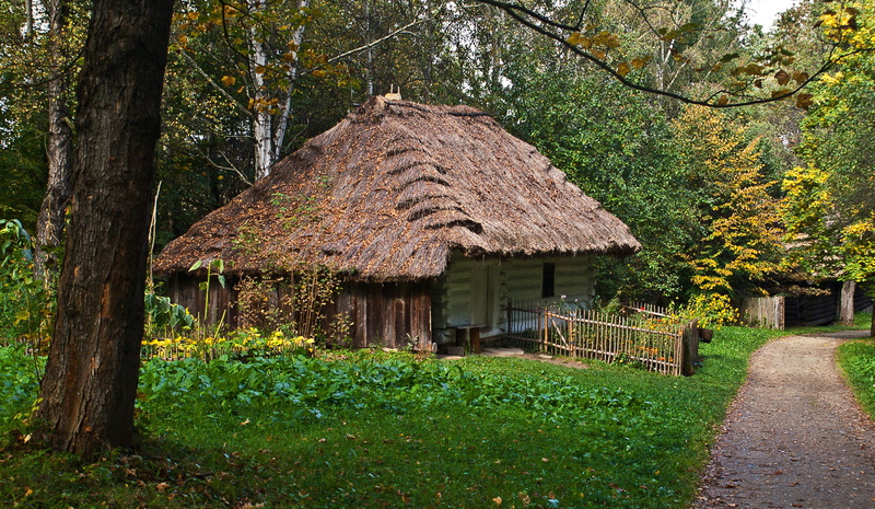 colorful, brown, architecture, beauty in nature, thatched roof, history, straw, plant, foliage, in the countryside, tree, birch, the path, house, park