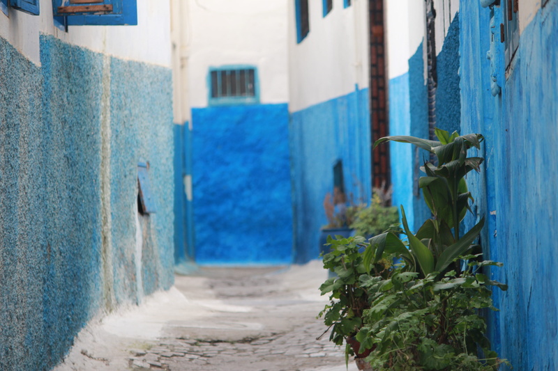 morocco, mosque, alley, no people, outdoors, nature, oujda, hassan 2, plant, tangier, hassan tower, casablanca, staircase, day, image, style, rabat, built structure