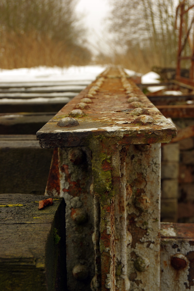 close-up, focus on foreground, textured, nature, abandoned, iron, old, damaged, bolt, 5K, bad condition, day, wood - material, tracks, tree, rivets, deterioration