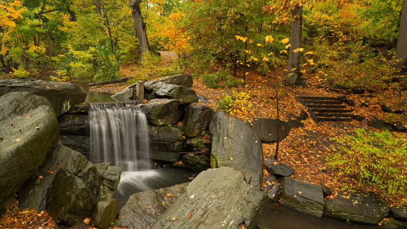 non-urban scene, change, 8k quality, beauty in nature, solid, rock - object, long exposure, forest, plant, tree, growth, nature, flowing water, motion