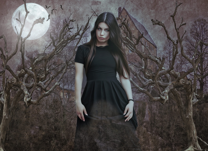 women, gothic, hairstyle, vamp, lifestyles, mysterious, vampire, standing, woman, young women, goth, moon, front view, book cover, fashion, fantasy portrait