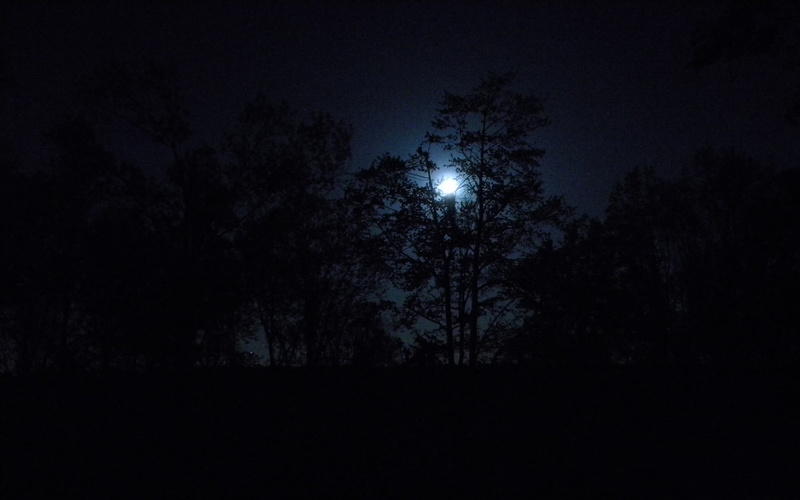 art, night, moon, x, space, nature, Trees, moons, 1080P, forest, dark, hd