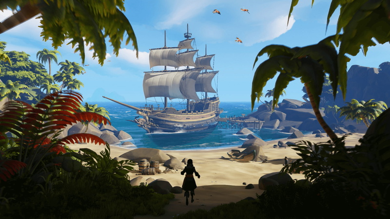 real people, xbox games, people, sea of thieves, plant, travel destinations, leisure activity, nature, travel, day, tropical climate, sunlight, beach, water