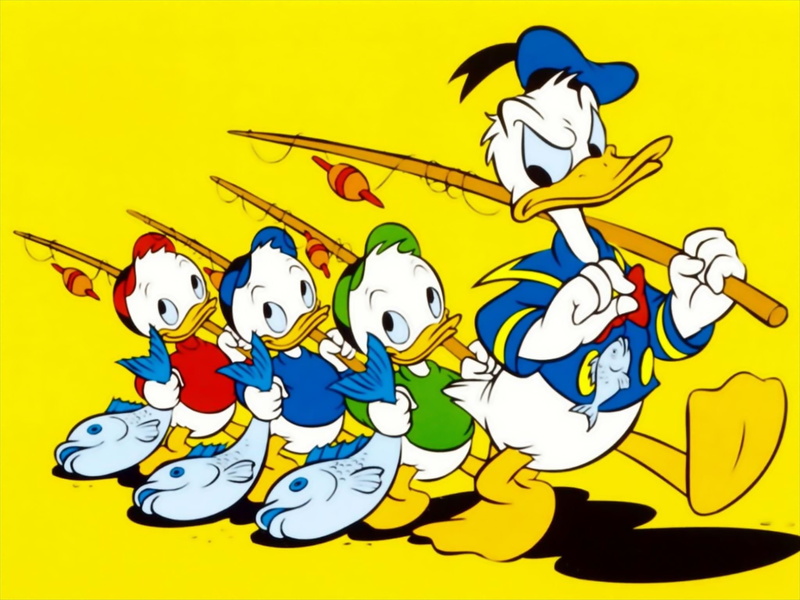 disney, art, company, Disney Company, Donald Duck, duck, animals, ducks, hd, x, 1080P, donald