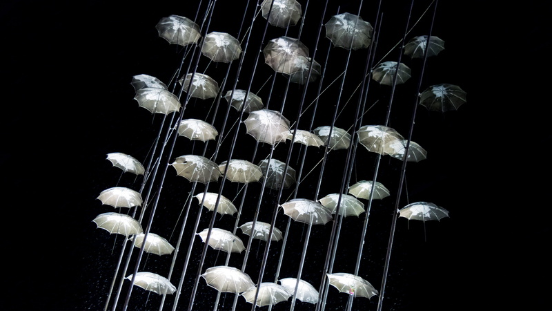 ellas, 5K, skg, animal wildlife, water, cold, indoors, studio shot, ellada, black background, no people, night, swimming, sky, marine, jellyfish, animals in the wild