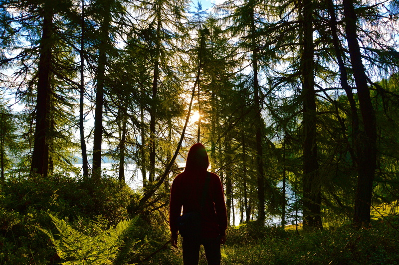 leisure activity, standing, hairstyle, rear view, one person, beauty in nature, tree trunk, trees, growth, non-urban scene, trunk, high quality, tranquility