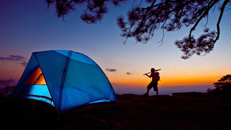 dusk, tree, evening, sky, scenics - nature, playing, landscape, illuminating, outdoors, people, branch, man, camping, silhouette, activity, adventure, men