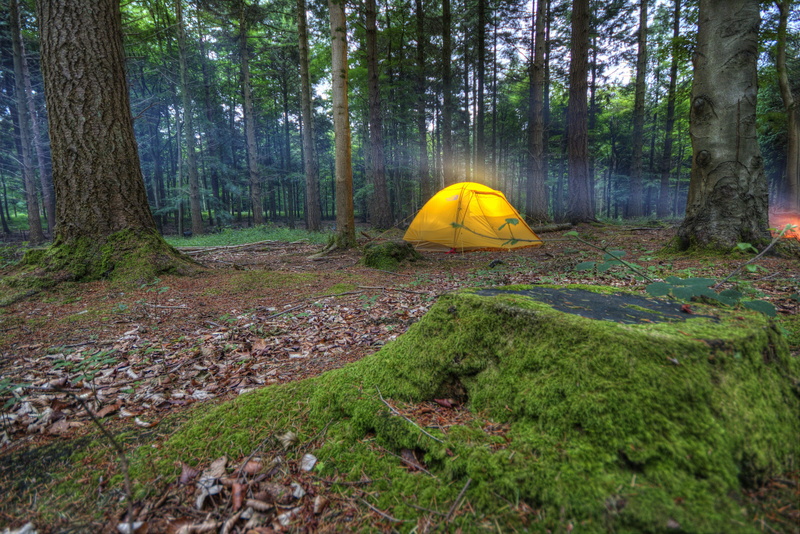 Camping, recreation, tree trunk, day, campsite, plant, outdoors, Nature, tree, trunk, Camp, green color, travel, north face tent, Wilderness, 2K, tourism