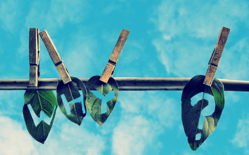 safety, leaves, side by side, hanging, metal, clothesline, nature, blue, clothespin, sky, clothespins, close-up, security, cloud - sky, 1080P, green, outdoors