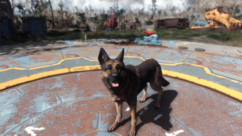 dog, Fallout 4, 1080P, Dogmeat, Fallout