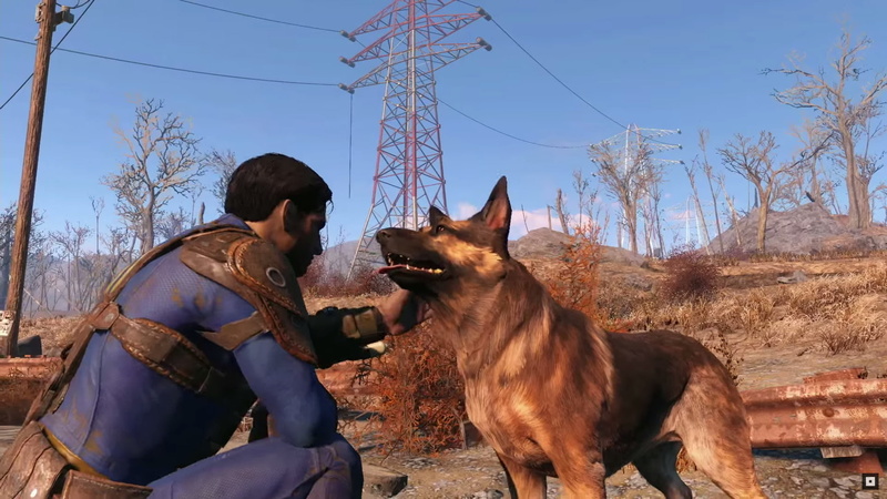 Sole Survivor (Fallout 4), 1080P, Dogmeat (Fallout), Fallout, Fallout 4