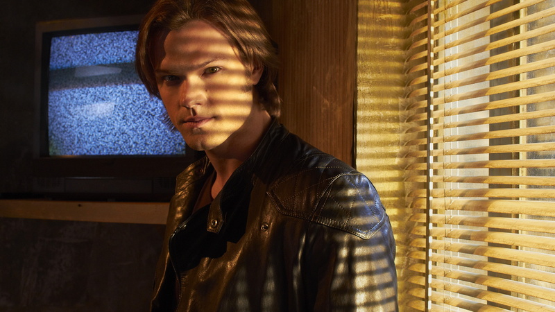 near, blinds, standing, venetian, 4K, Most Popular Celebs, Jared Padalecki, man, actor