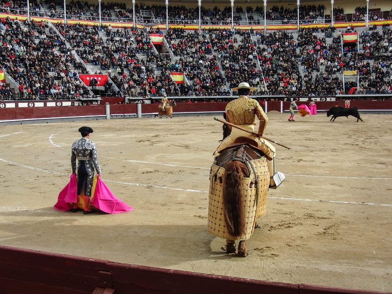 spain, spectator, sport, matador, inside, lifestyles, incidental people, real people, people, large group of people, full length, outdoors, arena, clothing