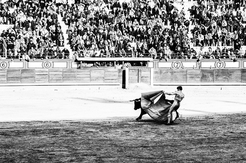 torero, animal wildlife, mammal, horse, corrida, crowd, working animal, domestic, day, domestic animals, lifestyles, outdoors, black and white, 2K, madrid