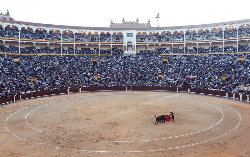 real people, building exterior, event, stadium, violence, bullfight, architecture, built structure, seat, spanish, matador, spectacle, match - sport, fight