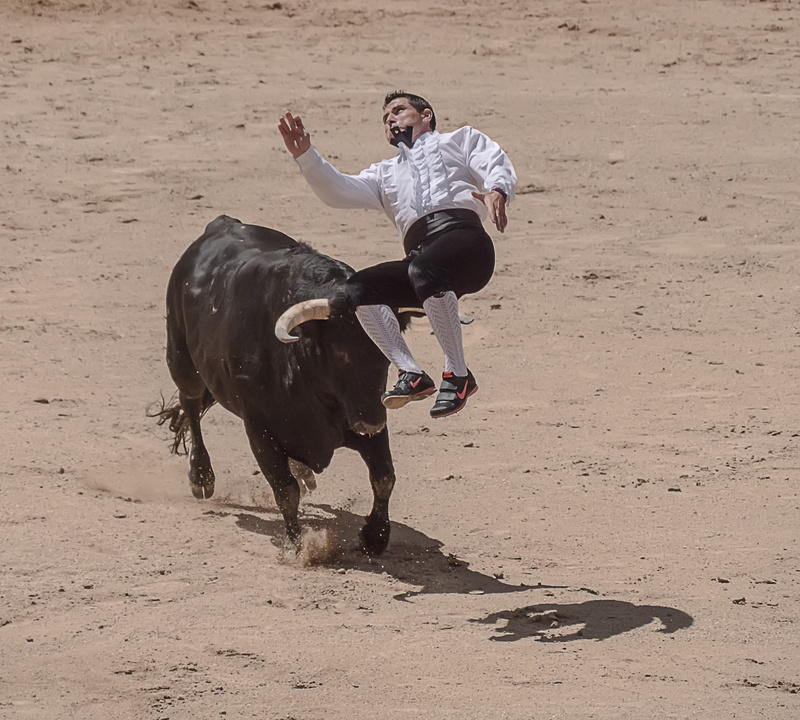 domestic, real people, competition, threat, plaza, day, cutout, outdoors, livestock, leisure activity, Torero, land, Sales, bulls, matador, madrid, spain
