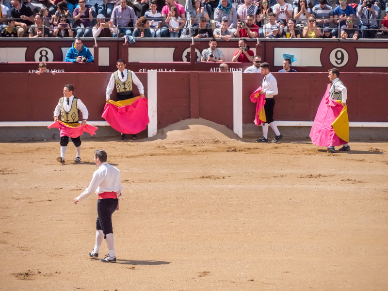 bull riding, large group of people, real people, plaza toros, childhood, men, risk, males, bullfighters, dangerous, people, spectator, jump, leisure activity