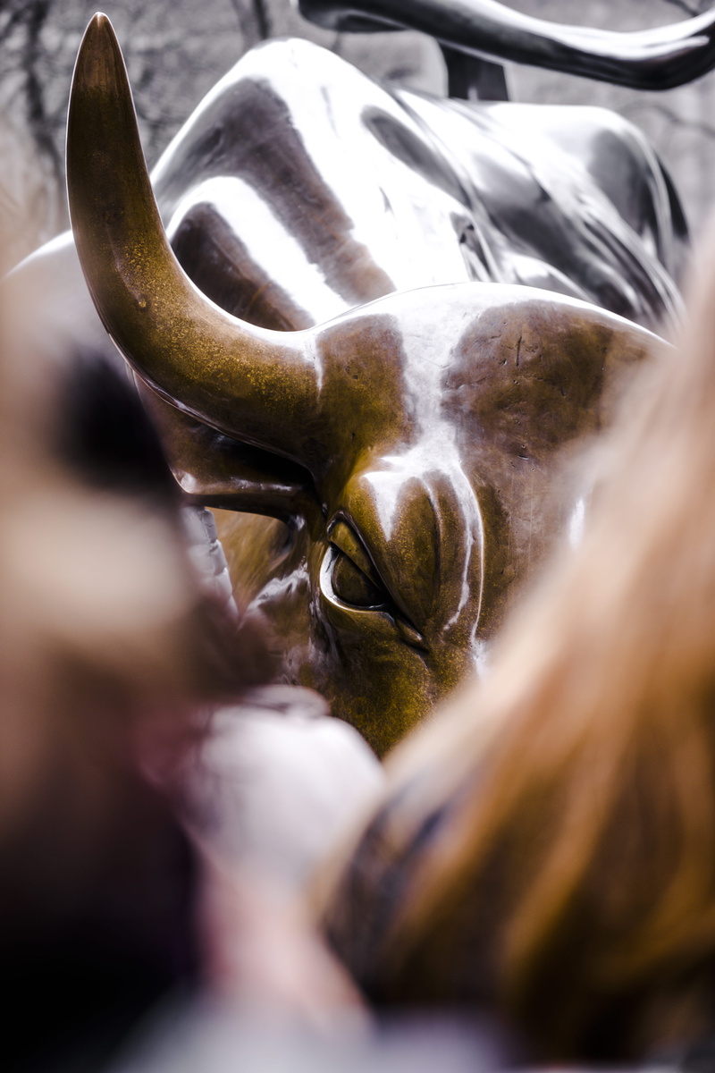 5K, sculpture, head, new york, raging bull, no people, animal, indoors, manhattan, domestic animals, bird, selective focus, day, human, bronze, figurine