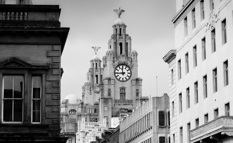 Liverpool, merseyside, Royal, Sony, Black, White, liverbirds, royalliverbuilding, blackandwhite, sonyslta57, Buildings, blackwhitephotos, Street, City