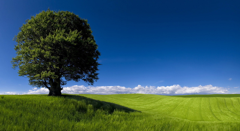 1080P, Fields, Newpor, Landscape, Cardiff, Green Horizons