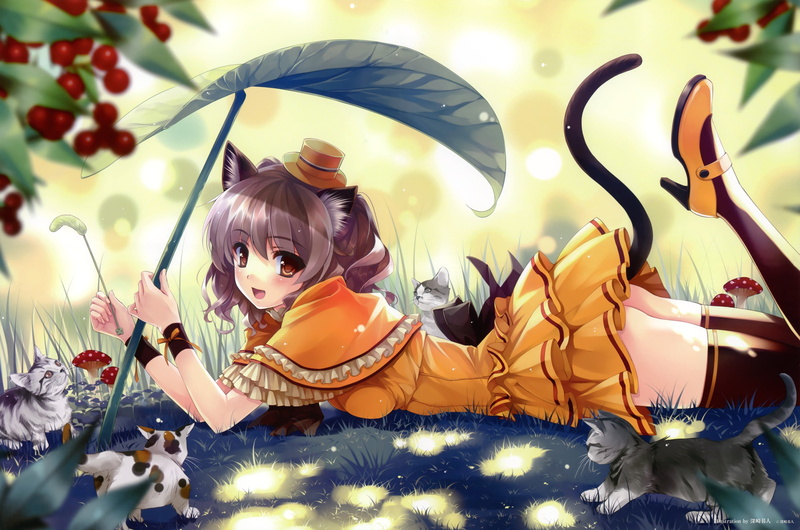 event, 2K, celebration, human representation, anime, illuminated, festival, anime girls, decoration, indoors, nekomimi, women, holiday, cat, art and craft