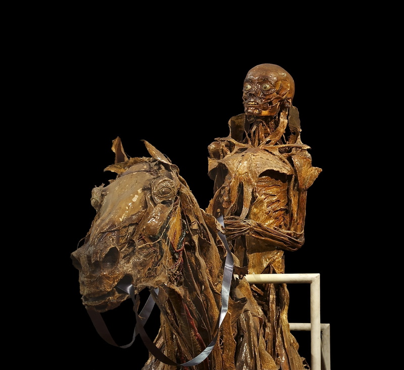 spirit, mummification, body worlds, photo, dead, honoré fragonard, carcass, no people, sculpture, rip, indoors, reiter, copy space, riding, decomposed
