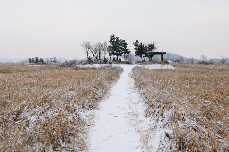 non-urban scene, republic of korea, hut, 5K, wood, plant, line of vision, environment, scenery, sky, the computer screen, homepage, tranquility, cold temperature