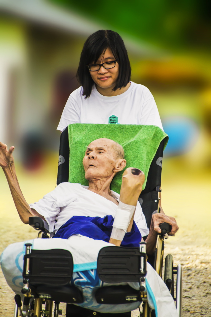 medical equipment, retirement, holding, adult, assistance, care, three quarter length, healthcare And Medicine, pushing wheelchair, 4K, front view, two people