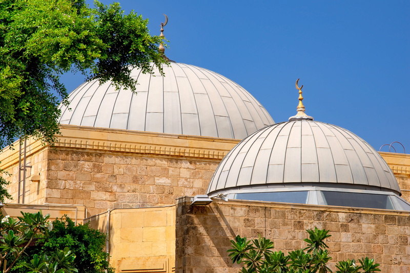 built structure, dome, plant, travel destinations, al-majidiyyeh, muslim, religion, city, mosque, place of worship, outdoors, islamic, spirituality, belief