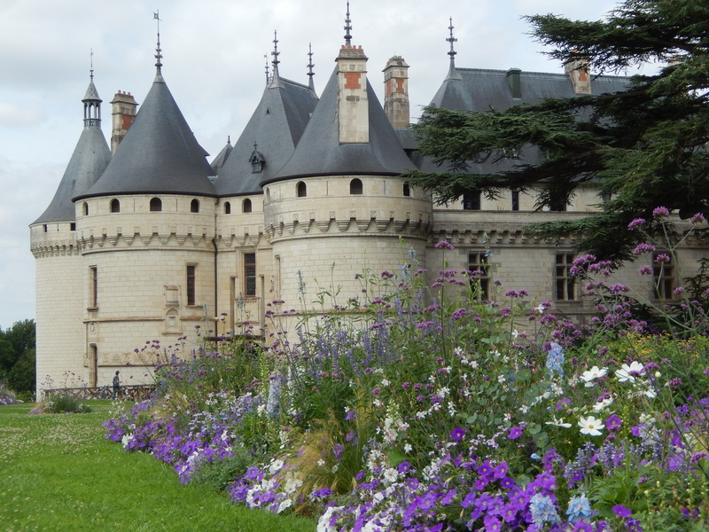 flowers, beside, building exterior, purple, 4K, belief, french castles, tower, tree, building, gray, architecture, the past, no people, valley, castle