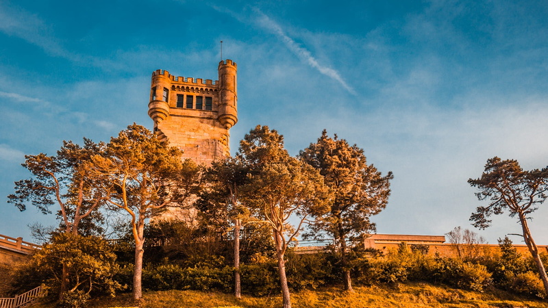 outdoors, tree, city, architecture, 1080P, building exterior, low angle view, tower, spain, no people, plant, history, cloud - sky, travel destinations