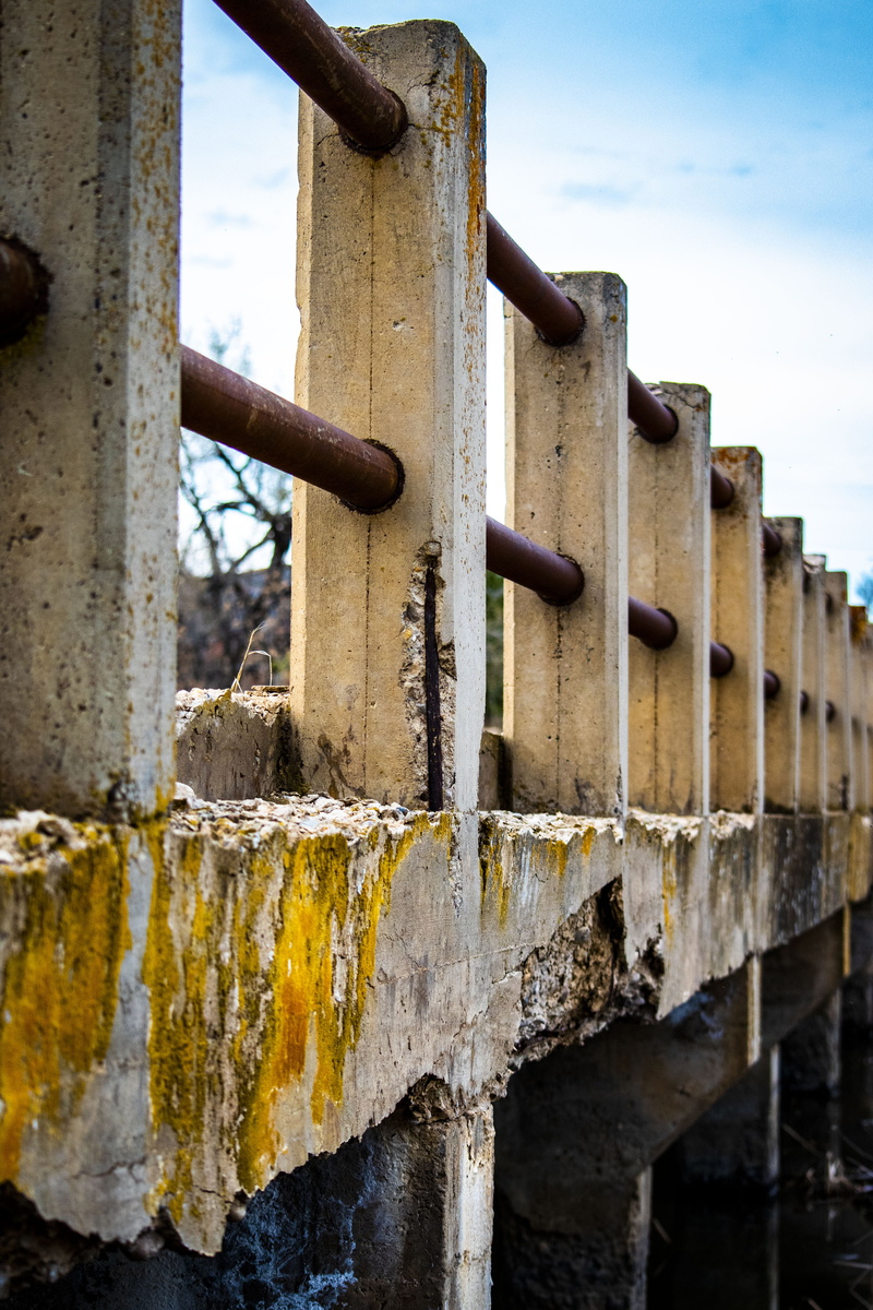 outdoors, fence, day, deterioration, built structure, weathered, close-up, protection, damaged, wood, bird, architecture, rust, metal, animal, seagull