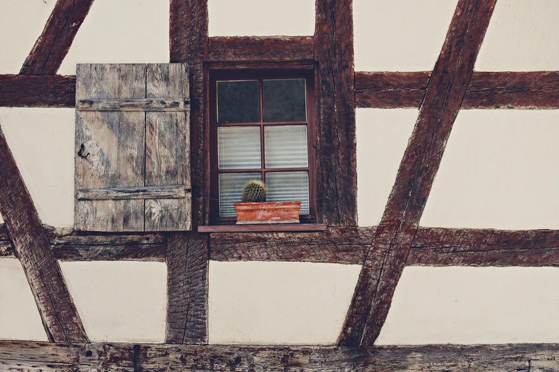 wall - building feature, white, minimal, animal, bird, walkway, rust, finch, old, brick, architecture, open window, day, residential district, flicker bird