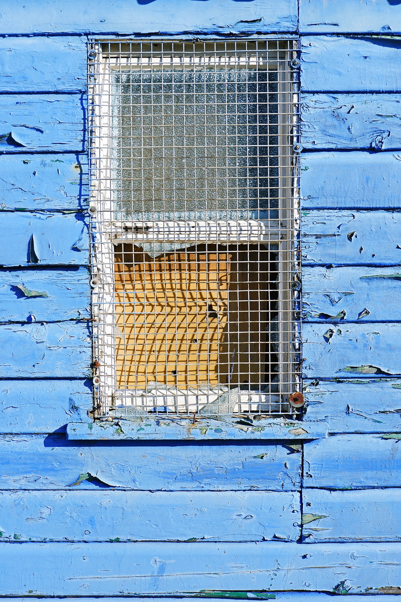 grid, wood, window, built structure, mammal, wooden, animal, close-up, brick, day, rust, wall, apparel, shape, collage, grate, sphere, jay, safety, nature