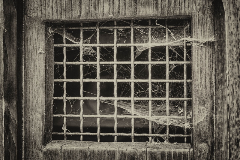 protection, no people, caught, built structure, window, black and white, mood, wire, old, starve, photo, web, metal, wall, entrance, 5K, abandoned, dom