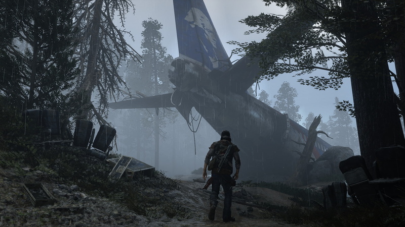 Video Game, Days Gone, 1080P