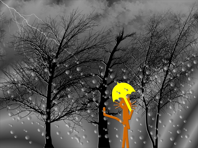 thunderstorm, animals, kittycat, pets, rain, cats, 2K, for windows, cat
