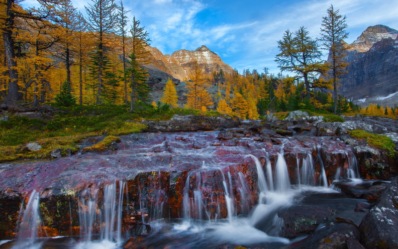 British, 2K, Trees, Columbia, River, Rocks, Canada, Forest
