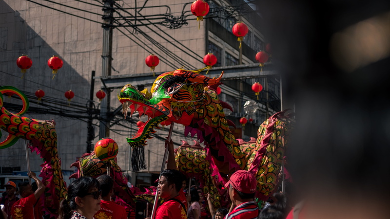 event, clothing, reptile, manila, sunglasses, animal, hanging, real people, celebration, outdoors, person, day, crowd, dragon dance, accessory, carnival - celebration event