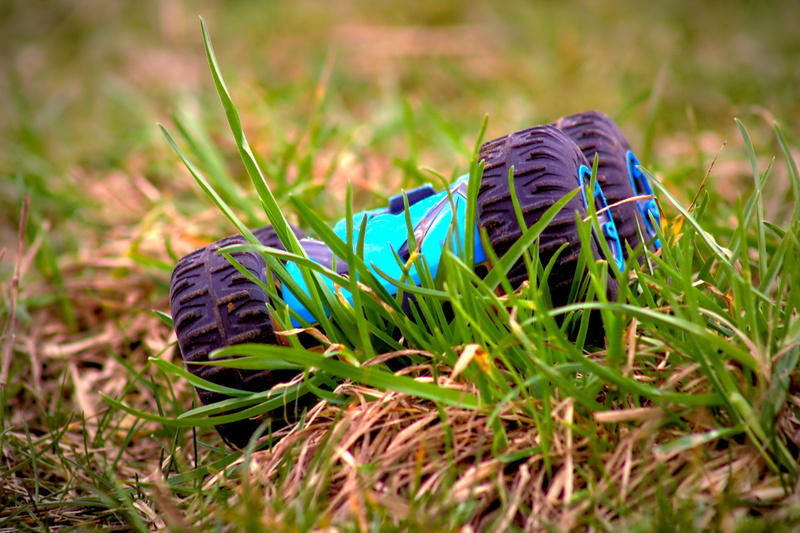 rc, field, apparel, invertebrate, 5K, running shoe, grass, beauty in nature, vegetation, ebersbach an der fils, spiral, reptile, land, plant, footwear