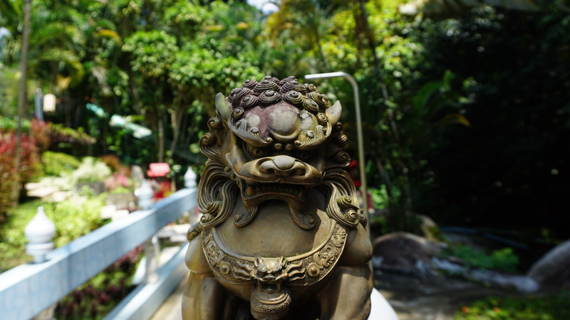 day, human representation, kirin, religion, nature, tree, creativity, no people, architecture, outdoors, 5K, craft, plant, statue, built structure, temple