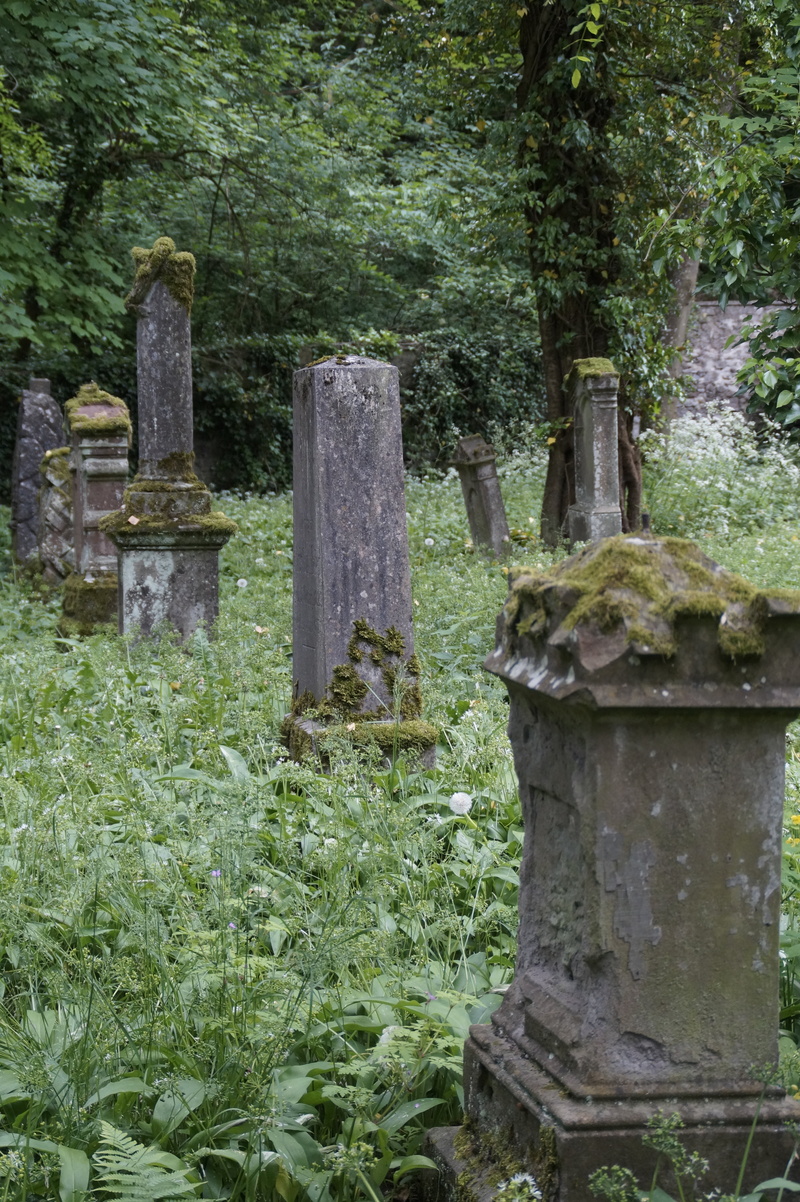 hohentwiel, died, buried, memorial, nature, cemetery, tombstone, no people, old, dead, rest, moss covered, stone material, 5K, solid, stone, graves, death