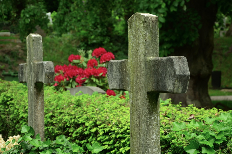 stone cross, cross Shape, green color, funeral, stone, grave, belief, religion, old, nature, respect, day, solid, death, memorial, christianity, cemetery